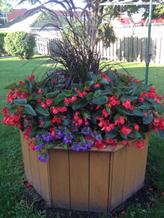 Planters